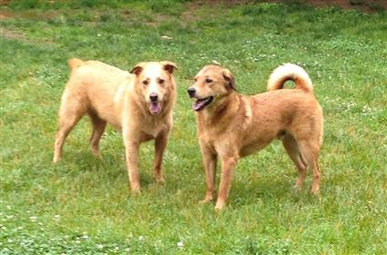 Butch and Sundance 